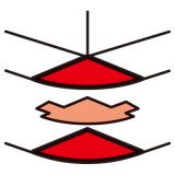 外轉角 用于195x50mm線槽