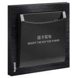 羅格朗酒店客控 逸遠 拉絲黑 插卡開關(微動)RJ45 12V干接點