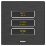 羅格朗酒店客控 E6 拉絲黑 三位12V干接點開關 三開