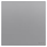 羅格朗開關插座 畫采 深砂銀 空白面板