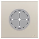 羅格朗開關插座 畫采 粉鉑金 空白面板帶出線孔