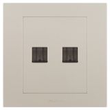 羅格朗開關插座 輕藝 粉鉑金 二位電腦插（超五類）