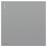 羅格朗開關插座 暢境  藝術灰 一位雙控帶指示開關 一開雙控 16AX