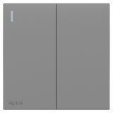 羅格朗開關插座 暢境  深砂銀 二位雙控帶指示開關 二開雙控 16AX