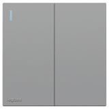 羅格朗開關插座 暢境  藝術灰 二位雙控帶指示開關 二開雙控 16AX