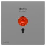 羅格朗開關插座 暢境  深砂銀 緊急呼叫開關