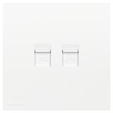 羅格朗開關插座 暢境  玉蘭白 二位電腦插(六類)