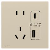 羅格朗開關插座 博駿  粉鉑金 帶二三插Type A+C USB充電插座 Type A+C USB五孔插座 15W