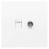 羅格朗開關插座 悅鉑  玉蘭白 電腦電視插