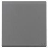 羅格朗開關插座 綺蘊 深砂銀 一位雙控開關 一開雙控 16AX