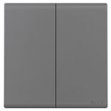 羅格朗開關插座 綺蘊 深砂銀 二位雙控開關 二開雙控 16AX