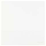 羅格朗開關插座 維翼 陶瓷白 一位雙控開關一開雙控 16AX