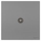 羅格朗開關插座 維翼 深砂銀 一位電視插