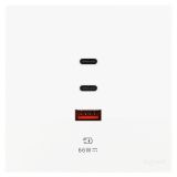 羅格朗開關(guān)插座 維翼 陶瓷白 Type A+2C USB充電插座 66W