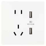 羅格朗開(kāi)關(guān)插座 維翼 陶瓷白 帶二三插USB充電插座 五孔USB插座