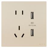 羅格朗開(kāi)關(guān)插座 維翼 粉鉑金 帶二三插USB充電插座 五孔USB插座