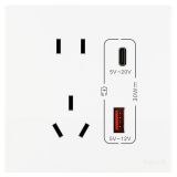 羅格朗開(kāi)關(guān)插座 維翼 陶瓷白 帶二三插Type A+C USB充電插座 五孔Type A+C USB 30W