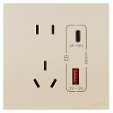 羅格朗開(kāi)關(guān)插座 維翼 粉鉑金 帶二三插Type A+C USB充電插座 五孔Type A+C USB 30W