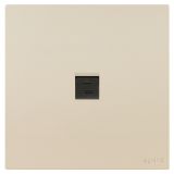 羅格朗開關插座 維翼 粉鉑金 一位電腦插