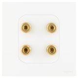 羅格朗開關插座 維翼 陶瓷白 二位音箱插