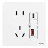 羅格朗開關插座 逸景Plus 陶瓷白 帶二三插Type A+C USB充電插座 30W