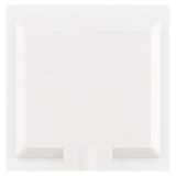 羅格朗開關(guān)插座 陶瓷白 五孔隱藏式插座 10A