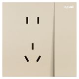 羅格朗開關(guān)插座 博軾 粉鉑金 帶雙控開關(guān)連體二三插座 五孔帶開