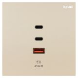 羅格朗開關插座 博軾 粉鉑金 Type A+2C USB充電插座 45W