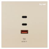 羅格朗開關插座 博軾 粉鉑金 Type A+2C USB充電插座 66W