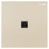 羅格朗開關插座 博軾 粉鉑金 一位電腦插