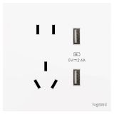 羅格朗開(kāi)關(guān)插座 淺央 陶瓷白 帶二三插USB充電插座 五孔USB插座