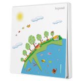 羅格朗開關插座 仕典 個性噴繪 環保地球 一位雙控 一開雙控帶熒光開關 16AX