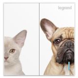 羅格朗開關插座 仕典 個性噴繪 寵物 二位雙控 二開雙控帶熒光開關 16AX