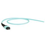 MTP-MTP 預端接光纜_10米_OM4_LSZH_翻轉型(A極性)