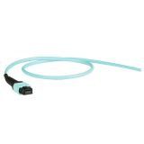 MTP-MTP預端接光纜,12芯,多模,OM3,LSZH,10米,翻轉,插損≤0.35dB